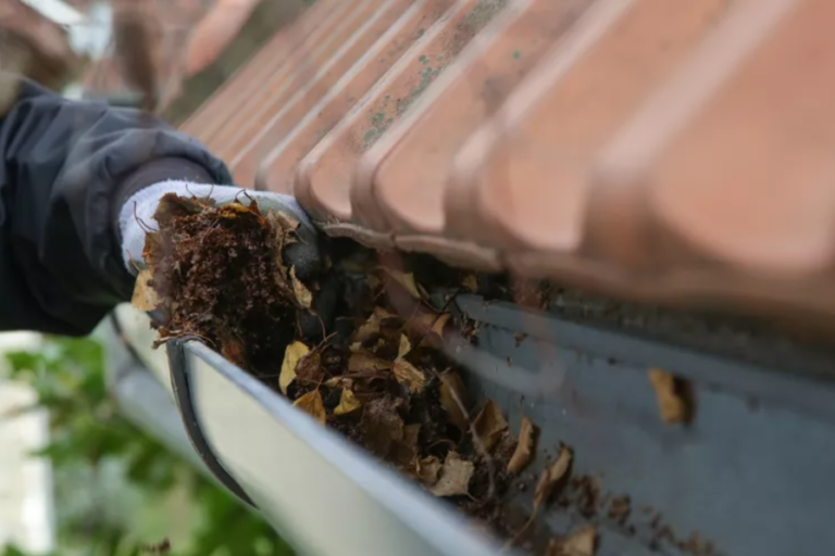 The Gutter Grime: Unmasking the Secrets to a Pristine Roofline