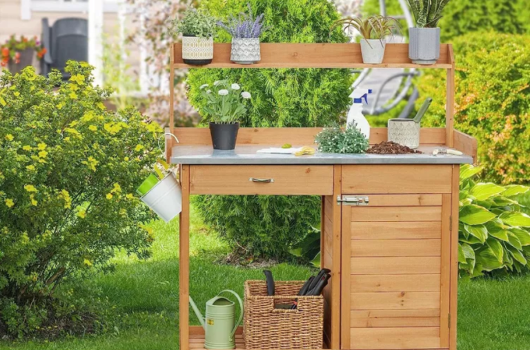 Discover the Hidden Gem for Spring Gardening Essentials on Amazon