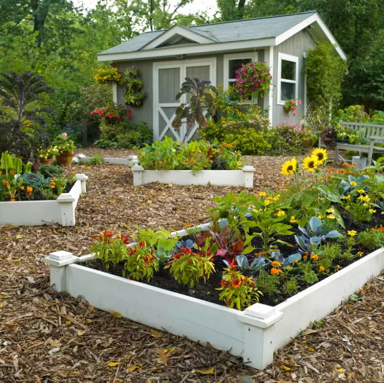 25 Creative Raised Garden Bed Designs for Your Vegetables and Blooms