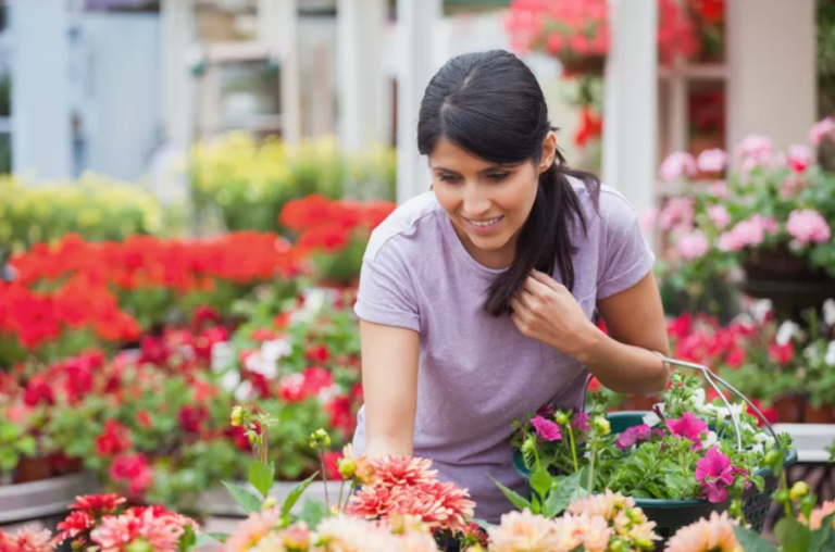 10 Clever Ways to Save on Plant Purchases and Build Your Dream Garden