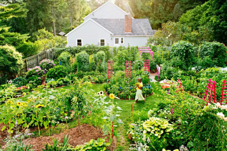 Discover the World of Permaculture Gardens: A Guide to Creating Your Sustainable Oasis