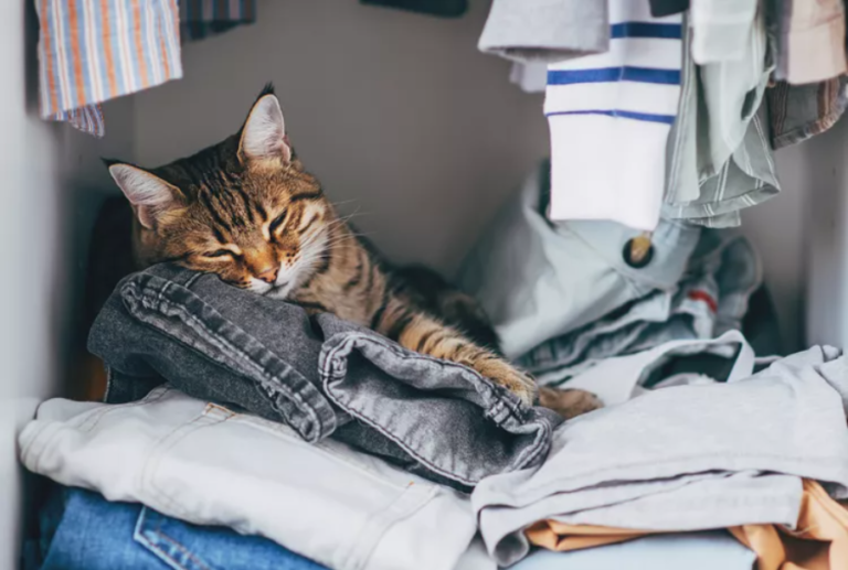 Is your laundry more fur-ocious than fresh?