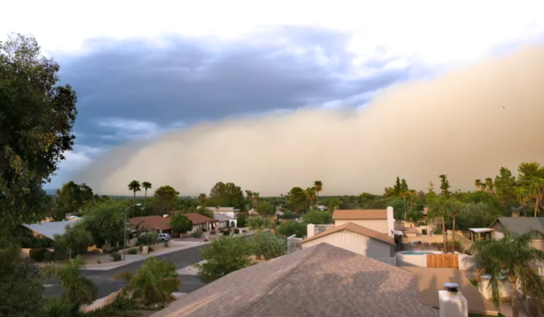 Did you know that your home needs to be recovered after a dust storm?